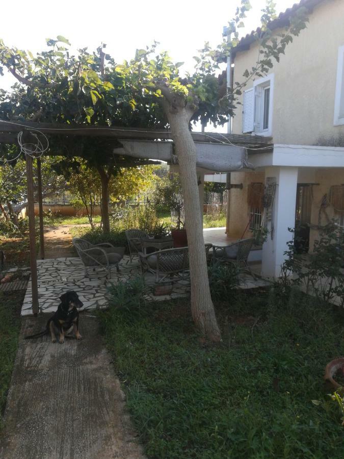 Country Rooms Near Athens - Airport Vravrona Eksteriør billede